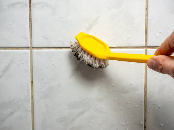 Best Residential Mold Removal  in Milltown, NJ