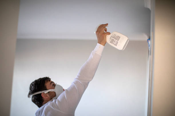 Best Mold Remediation  in Milltown, NJ