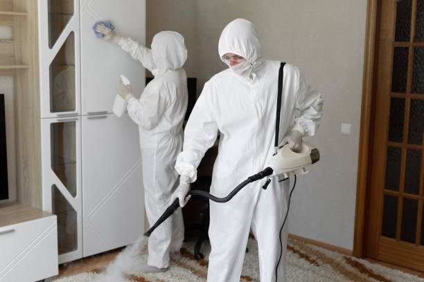 Best Certified Mold Removal  in Milltown, NJ