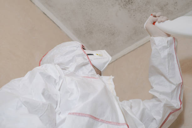 Best Mold Testing  in Milltown, NJ