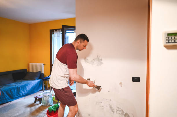Home Mold Removal in Milltown, NJ